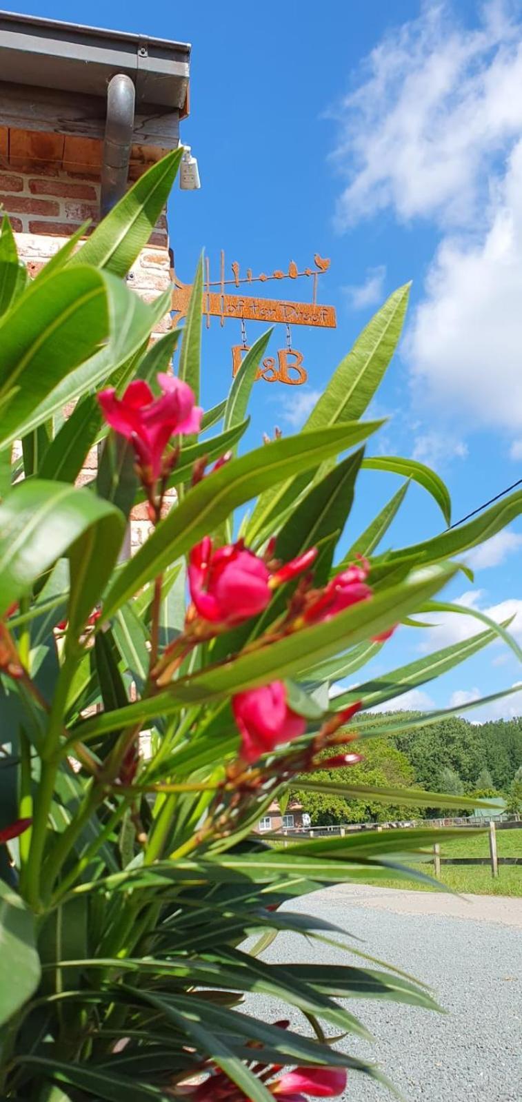 Bed and Breakfast Hof Ter Dreef Meise Екстер'єр фото